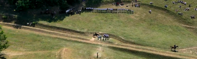 horses on field from a bird's eye view